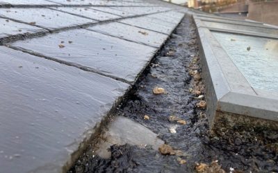 WHY MAINTENANCE IS SO IMPORTANT TO YOUR ROOF